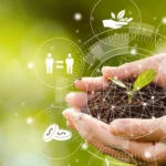 The Role of AI and Machine Learning in Biodiversity Monitoring