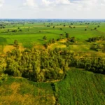 Biodiversity Credits Can Drive Conservation Efforts Globally