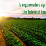 Regenerative Agriculture in the UK: A Sustainable Path Forward