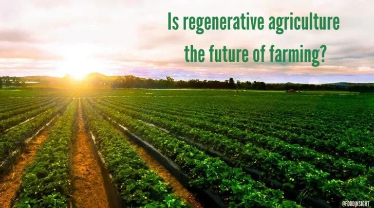 Regenerative Agriculture in the UK: A Sustainable Path Forward